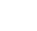 Logo Carrier