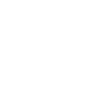 Logo Bontronic