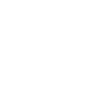 Logo technisonic