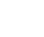 Logo Nozomi Network